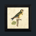 Gult och Grönt Bird Perched on a Little Gren Smyckeskrin<br><div class="desc">Denna gravininspirerade tryckning visningar vasst,  levande bilder med stor exakthet i färg. Neutraltens bakgrund bidrar till att betona fågelns färg. Anpassa Zazzle-favoritprodukten med den här vackra bilden.</div>