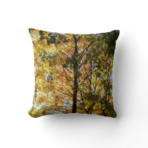 Gult och Grönt Fall Foliage