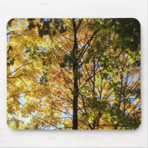 Gult och Grönt Fall Foliage