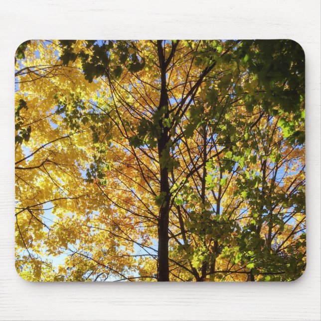 Gult och Grönt Fall Foliage Musmatta (Framsidan)