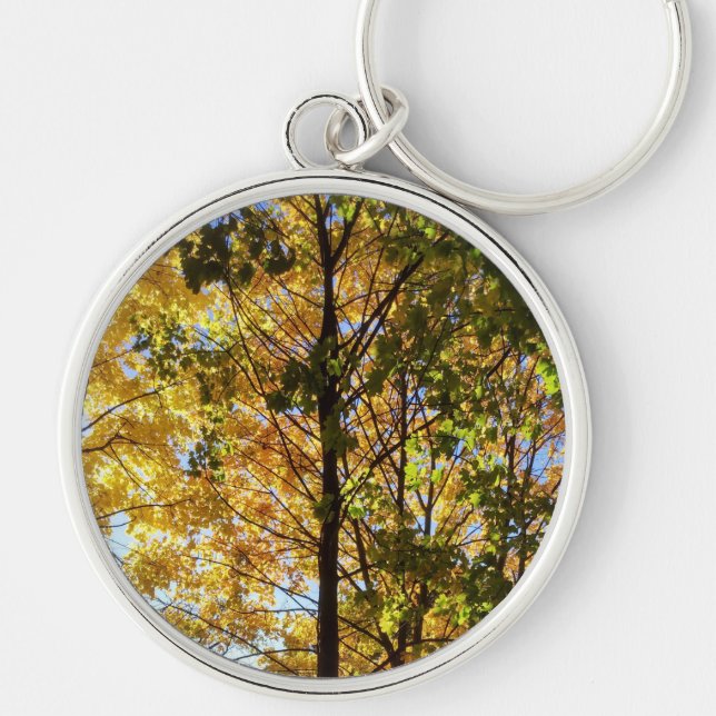 Gult och Grönt Fall Foliage Rund Silverfärgad Nyckelring (Framsidan)