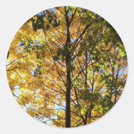 Gult och Grönt Fall Foliage Runt Klistermärke