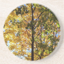 Gult och Grönt Fall Foliage