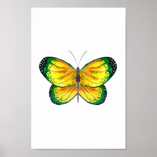 Gult- och Grönt-fjäril Poster