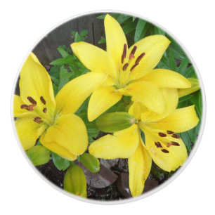 Gult och Grönt Lily Ceramic Dragdörrsknapp Knopp