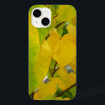 Gult och Grönt Redbud Löv<br><div class="desc">De röda lövens hjärtform gör dem intressanta att titta på. I höstscenen visar det sig att en mängd rödda löv går från grönt till gult. Kolla in vår affär om du vill se ett vackert fall i löv bilder. Det här bild är också tapet som "Gult och Grönt Redbud Löv"...</div>