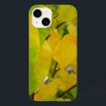 Gult och Grönt Redbud Löv<br><div class="desc">De röda lövens hjärtform gör dem intressanta att titta på. I höstscenen visar det sig att en mängd rödda löv går från grönt till gult. Kolla in vår affär om du vill se ett vackert fall i löv bilder. Det här bild är också tapet som "Gult och Grönt Redbud Löv"...</div>