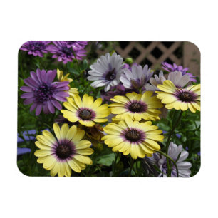 Gult och Lila blommor Magnet