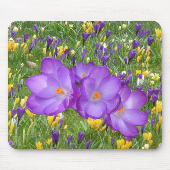Gult och Lila Crocusmus Pad Musmatta (Framsidan)