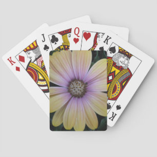 Gult och Lila Daisy blomma Casinokort