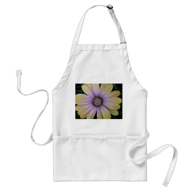 Gult och Lila Daisy blomma Förkläde (Framsidan)