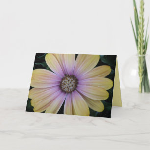 Gult och Lila Daisy Blommera Anpassningsbar Kort
