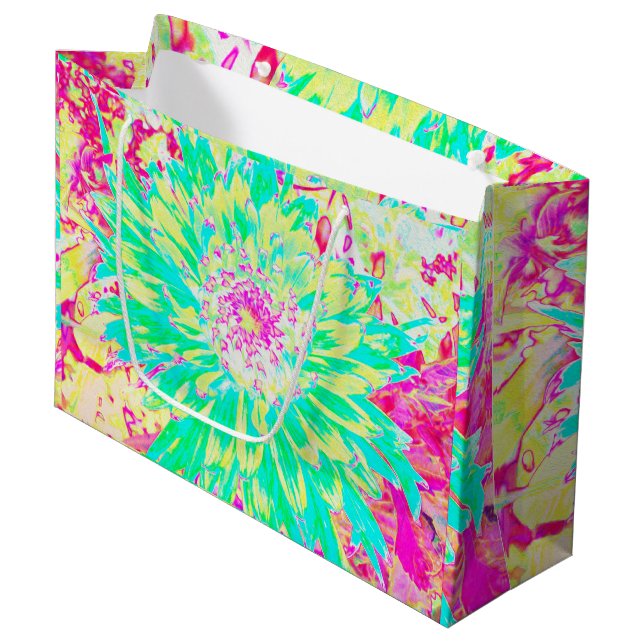 Gult och Magenta Dahlia Flower (Framsidan Vinklad)