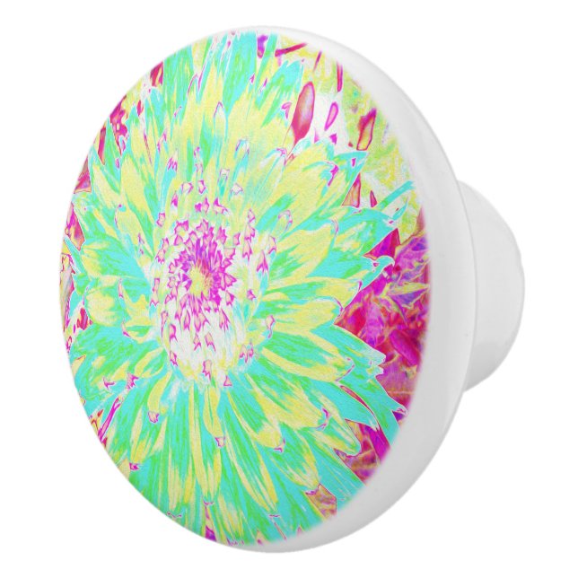 Gult och Magenta Dahlia Flower Knopp (Höger)