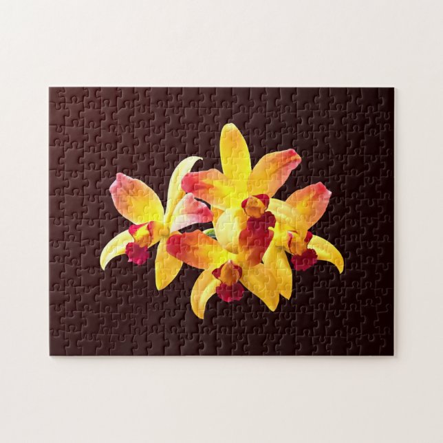 Gult och Maroon Orchids Brassolaeliocattleya Pussel (Horisontell)