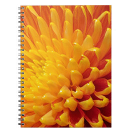 Gult och Orange Chrysanthemum Anteckningsbok Med Spiral