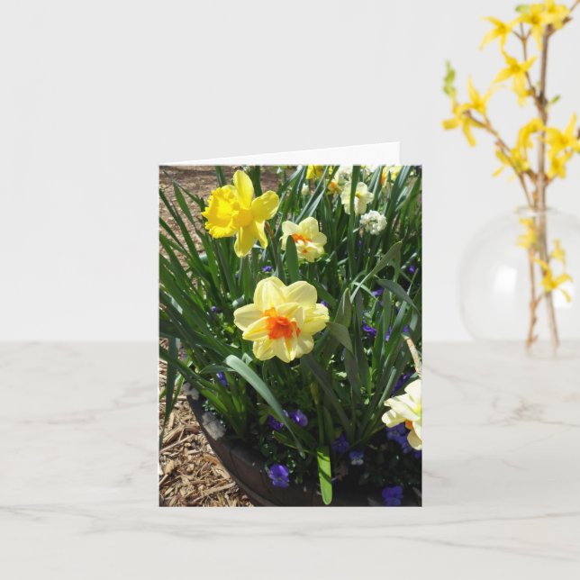 Gult- och Orange Daffodil-gratulationskort Kort (Gul blomma)