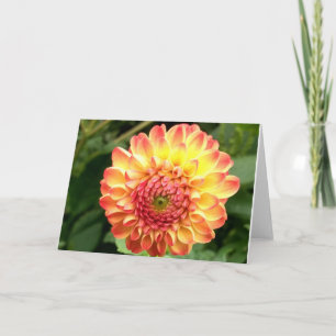 Gult- och orange-dahlia på ett tomt sedelkort kort