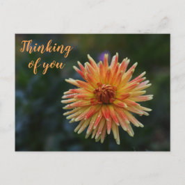 Gult och Orange Dahlia Thinking of you Postcard Vykort