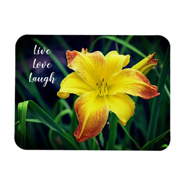 Gult och Orange Daylily Motivational Magnet (Horisontell)