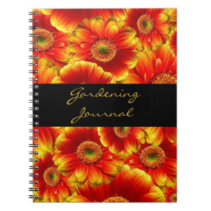 Gult och Orange Gerbera Daisy Anteckningsbok