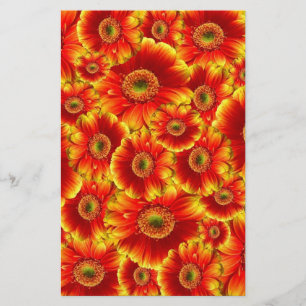 Gult och Orange Gerbera Daisy Brevpapper