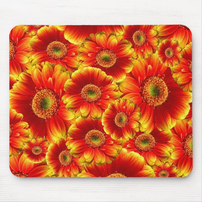 Gult och Orange Gerbera Daisy Musmatta (Framsidan)
