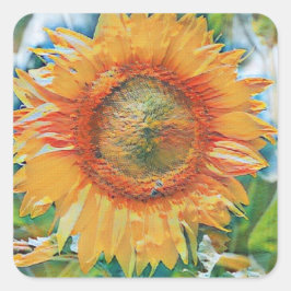 Gult och orange solrosmålning fyrkantigt klistermärke