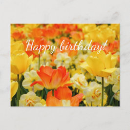 Gult och Orange Vykort