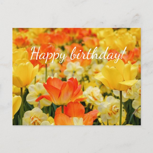 Gult och Orange Vykort (Framsida)