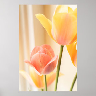 GULT OCH RÖD TULIP I BLOMSTÄNG FOTO POSTER