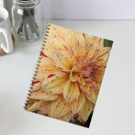 Gult och röd variegerad Dahlia-Blommigt Anteckningsbok