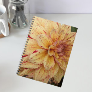 Gult och röd variegerad Dahlia-Blommigt Anteckningsbok