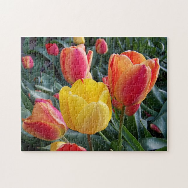 Gult och Röda tulips Sten Garden Photo Pussel (Horisontell)