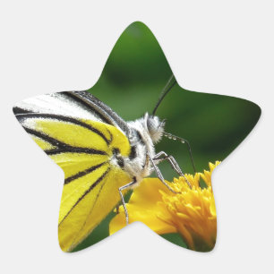 Gult och rödfjäril på Gult Flower Stjärnformat Klistermärke