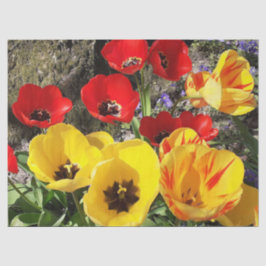 Gult- och rödtuppar