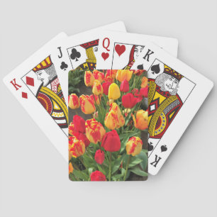 Gult- och rödtuppar casinokort