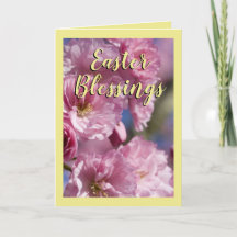 Gult och Rosa Blesser vid Blommarna Påsk