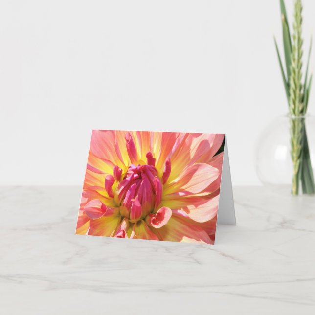 Gult och Rosa Dahlia 4x6-notecard Kort (Framsida)