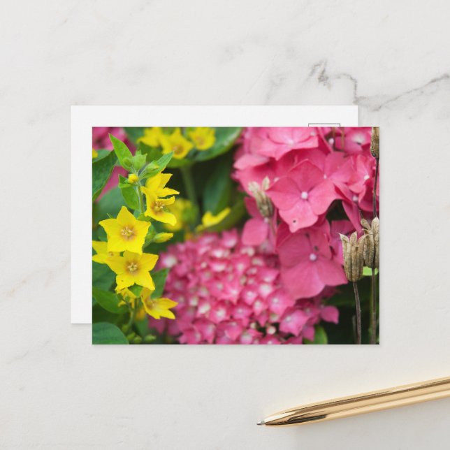 Gult och Rosa Helg Vykort (Fram/Back In Situ)