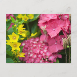 Gult och Rosa Helg Vykort