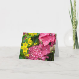 Gult och Rosa Kort