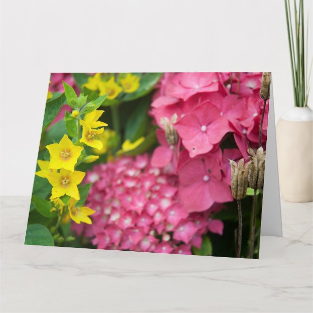 Gult och Rosa Kort (Framsida)