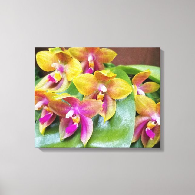 Gult och Rosa Orchid Flowers Canvastryck (Framsida)