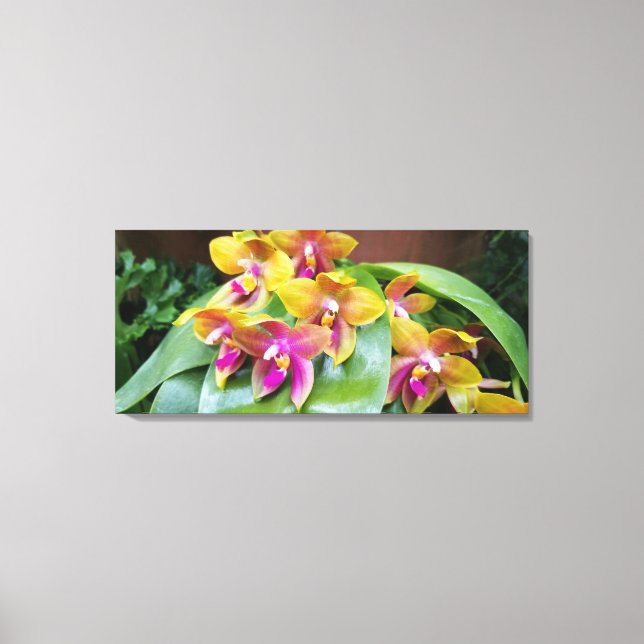 Gult och Rosa Orchid Flowers Canvastryck (Framsida)