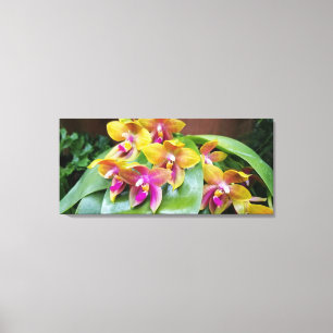 Gult och Rosa Orchid Flowers Canvastryck