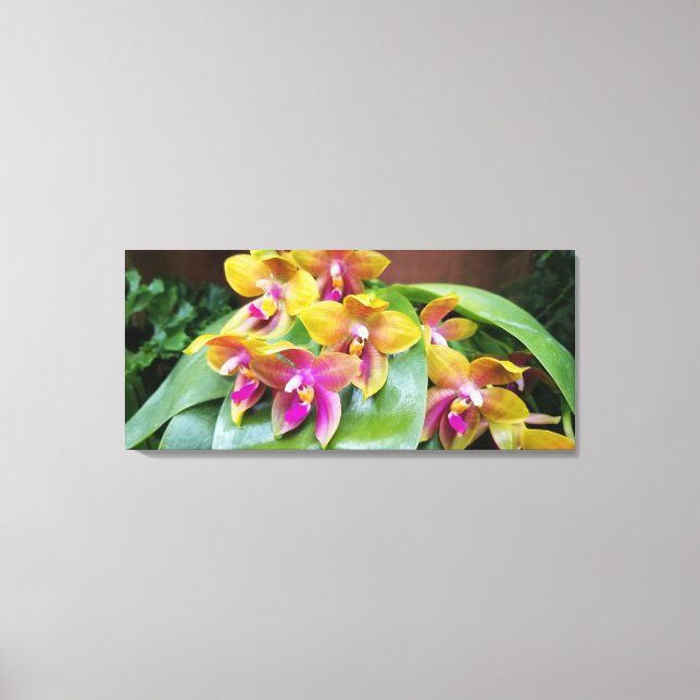 Gult och Rosa Orchid Flowers Canvastryck (Framsida)