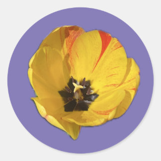 Gult och rött, öppna Tulip-etikett Runt Klistermärke