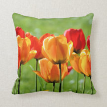 Gult och rött tulpaner