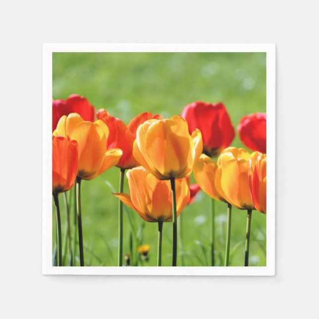 Gult och rött tulpaner pappersservett (Framsidan)